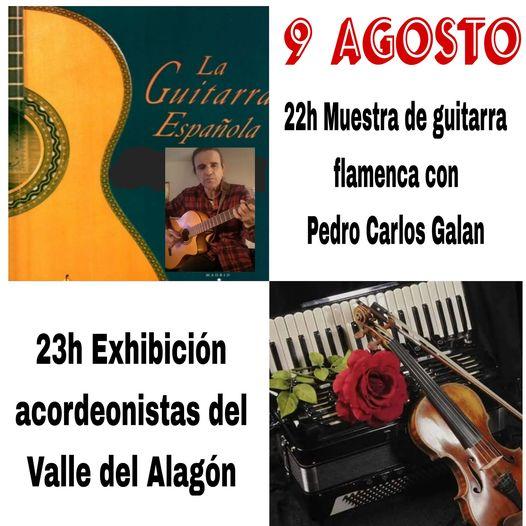 Imagen 9 de Agosto - Muestra de guitarra flamenco y exhibición de acordeonistas del Valle del Alagón